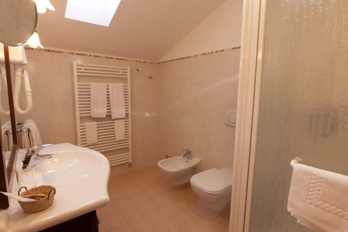 shower, free toiletries, hair dryer, bidet