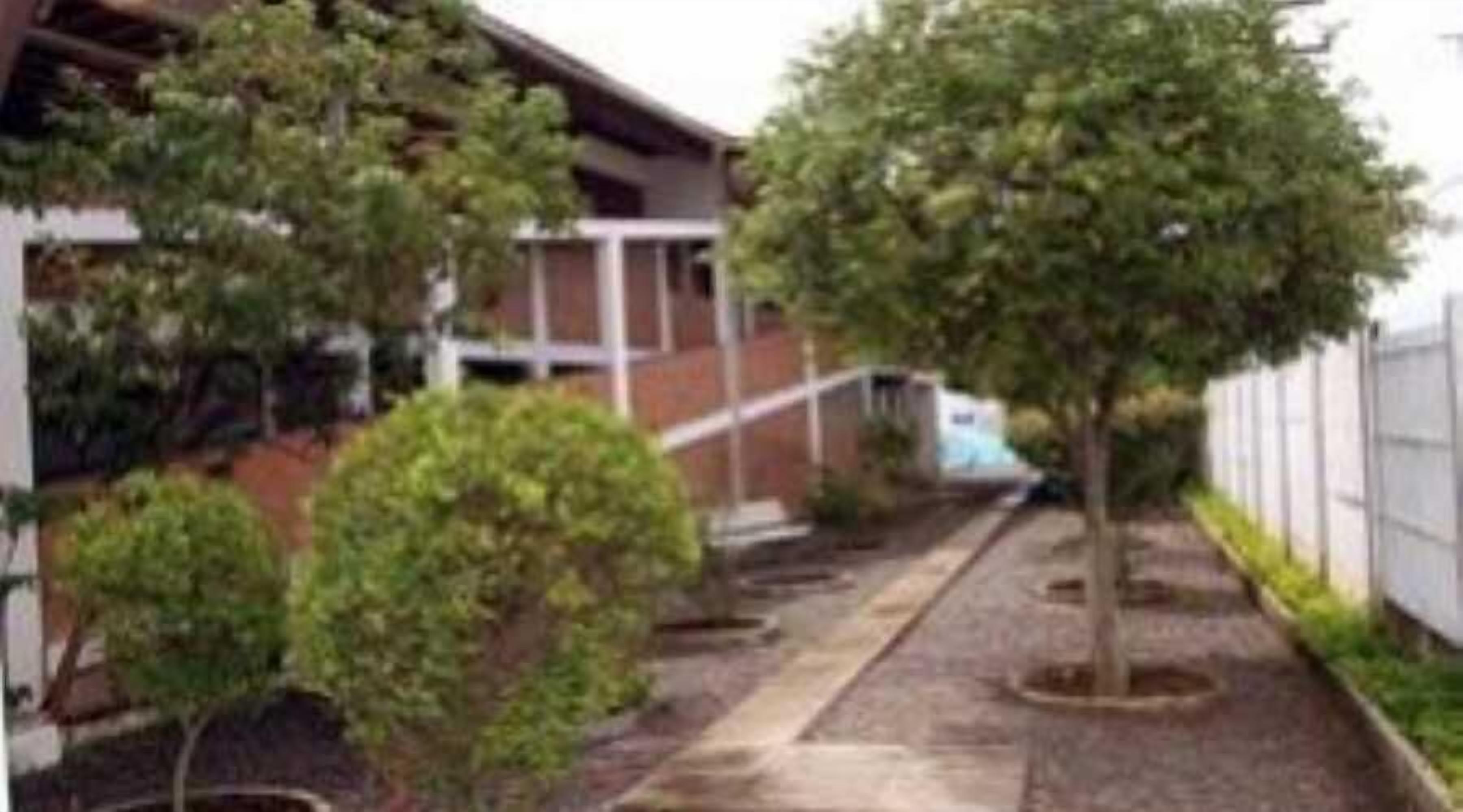 A pathway lined with small trees and a building with a sloped roof.