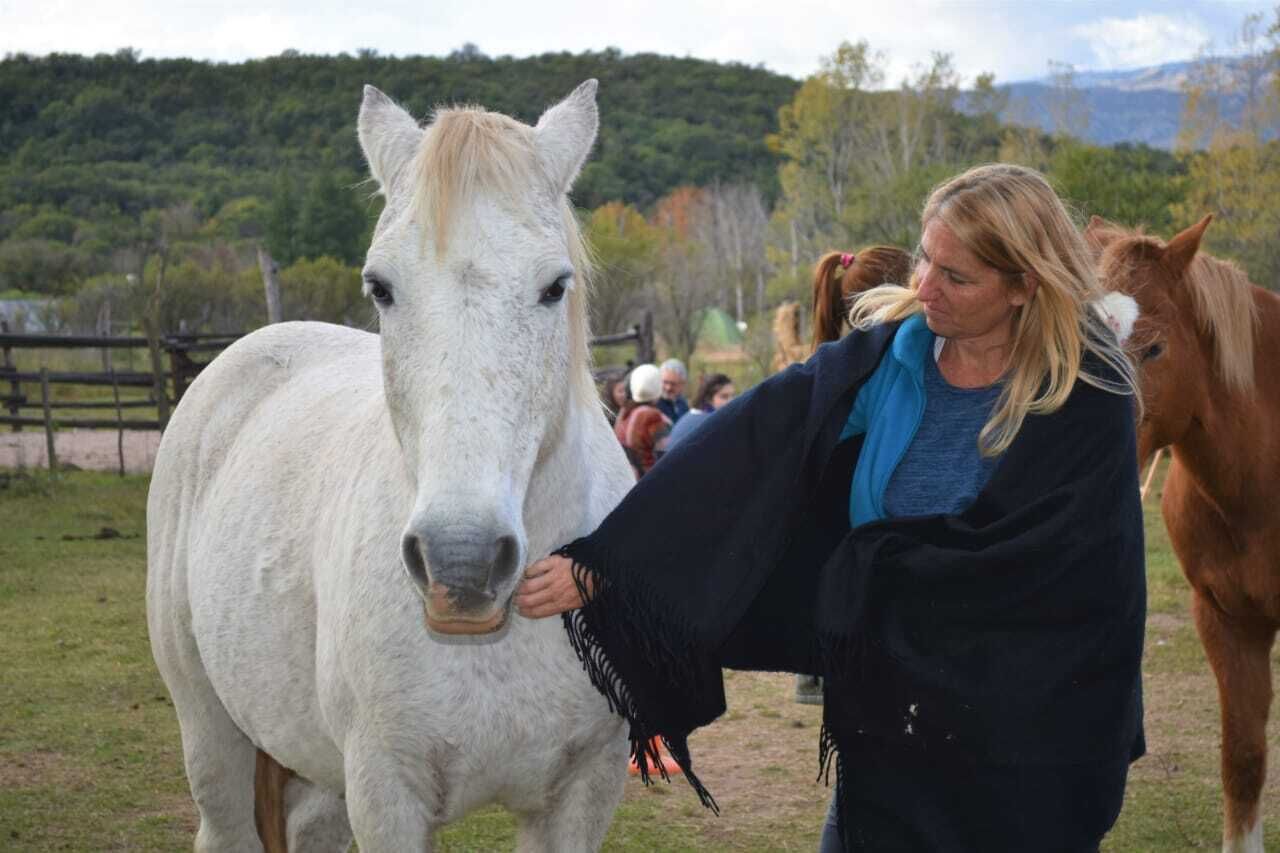A person interacting with a white horse in an outdoor setting with a fence and trees in the background.