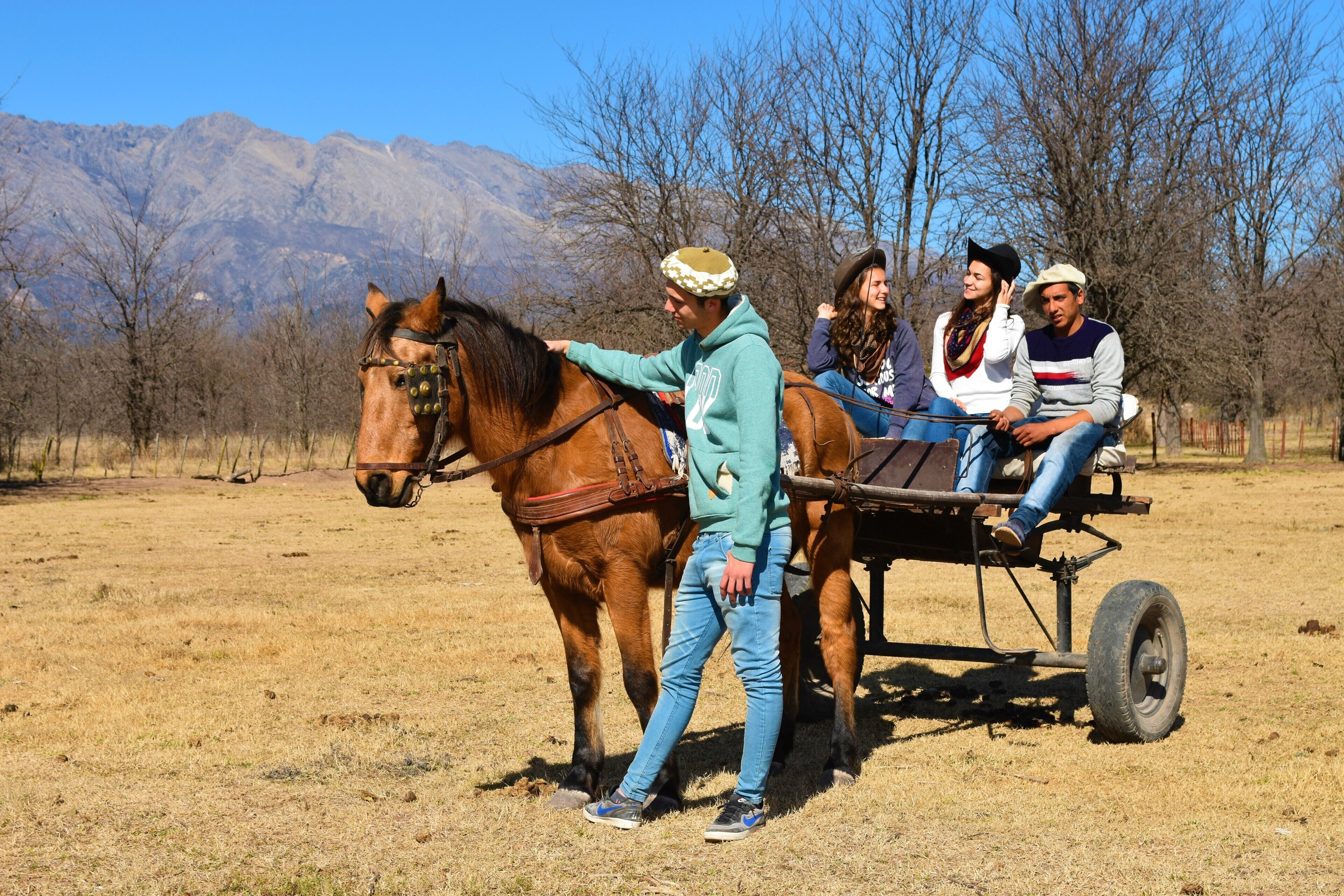 A horse-drawn carriage with passengers in a field with mountains in the background.