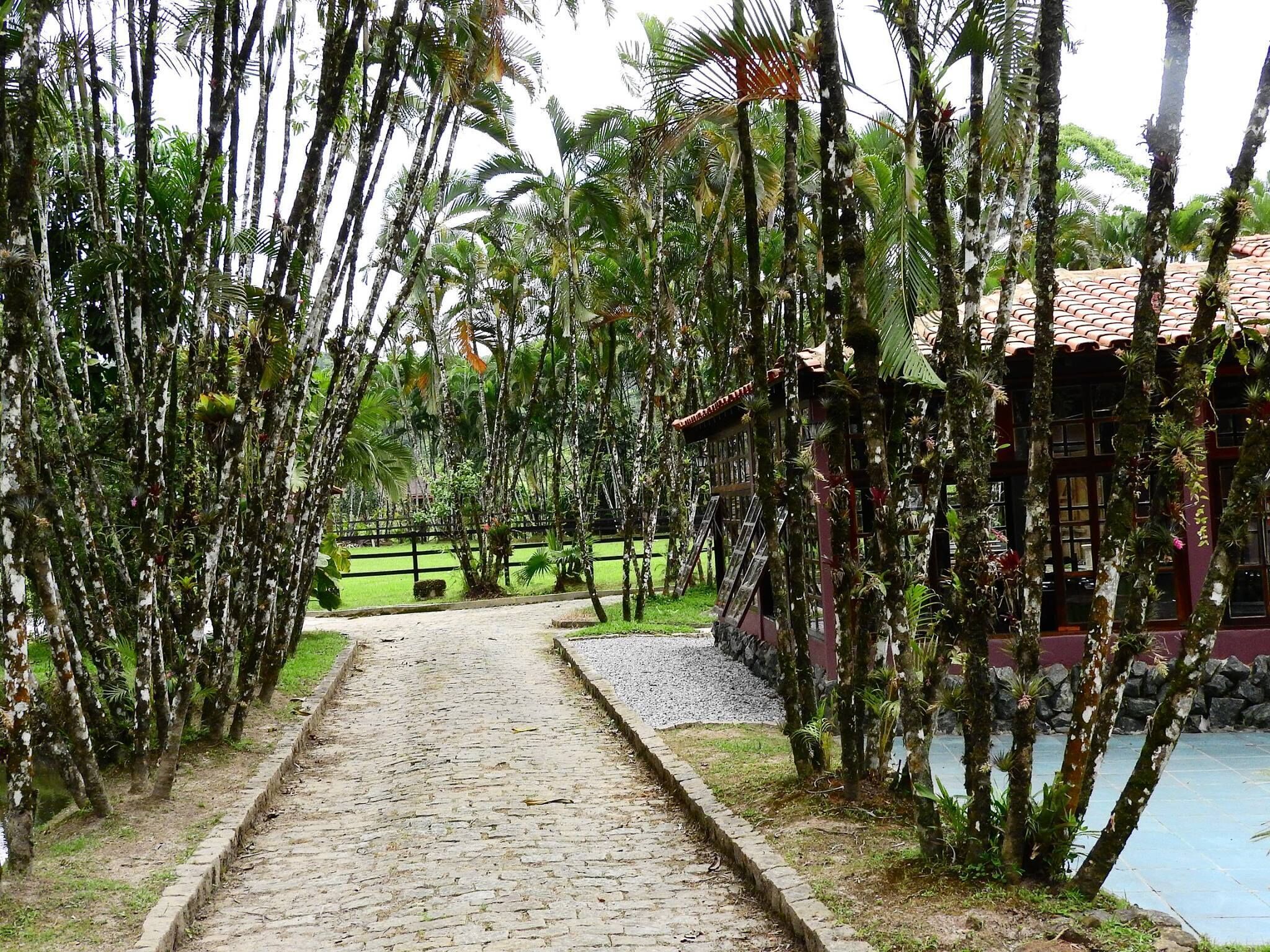 Área da propriedade