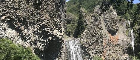 منوع