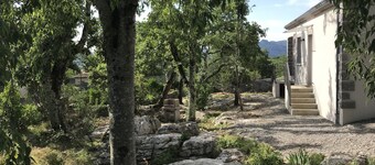 Comfortable cottage with beautiful terrace in authentic enclosed grounds