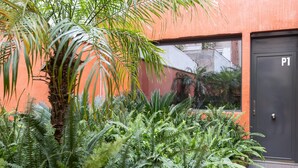 A building with a black door marked "P1" and a palm tree in the foreground. - Quiet and charming apartment in Gracia neighborhood (Barcelona)