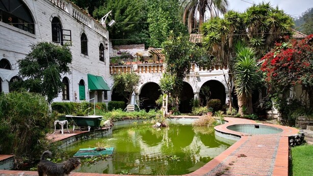 Un patio con un estanque central, senderos de ladrillo y abundante vegetación.