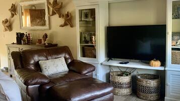 Smart TV, chimenea y libros