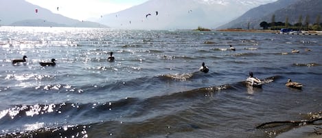 Una playa cerca