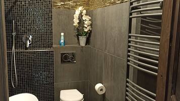 Hair dryer, soap, shampoo, toilet paper