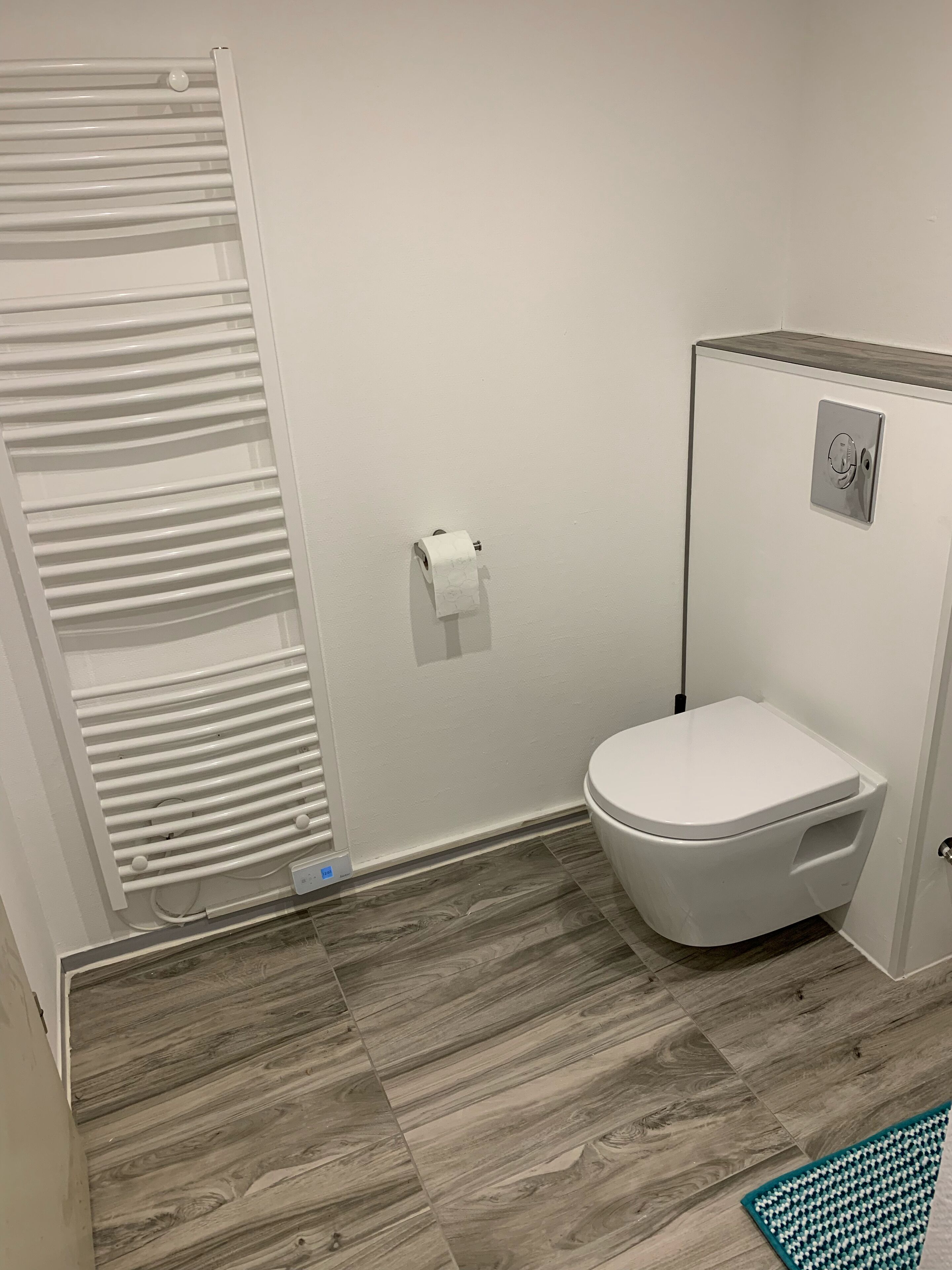 Een badkamer met een toilet, een handdoekhouder en een douche.