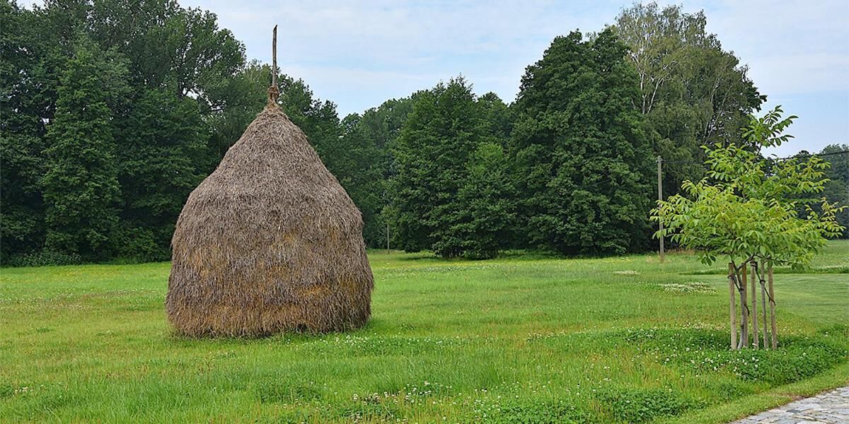 A hay bale in a grassy field with trees in the background.