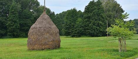 A hay bale in a grassy field with trees in the background.