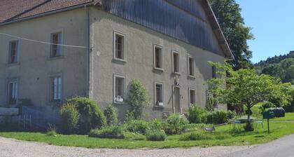 Farmhouse the fir trees