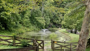 A pond with a fountain, surrounded by lush greenery and a wooden fence. - Lyric Guesthouse at GratiDude Ranch - Riverside in Leiper's Fork (Franklin)