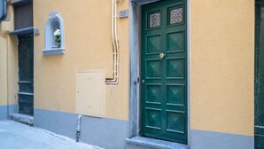 Un edificio con una puerta verde, una ventana pequeña con una flor y una caja de servicios etiquetada 'GAS'.
