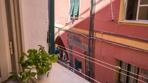 Un balcón con una maceta, vista de un edificio con fachada roja y contraventanas verdes, y cables eléctricos a la vista.