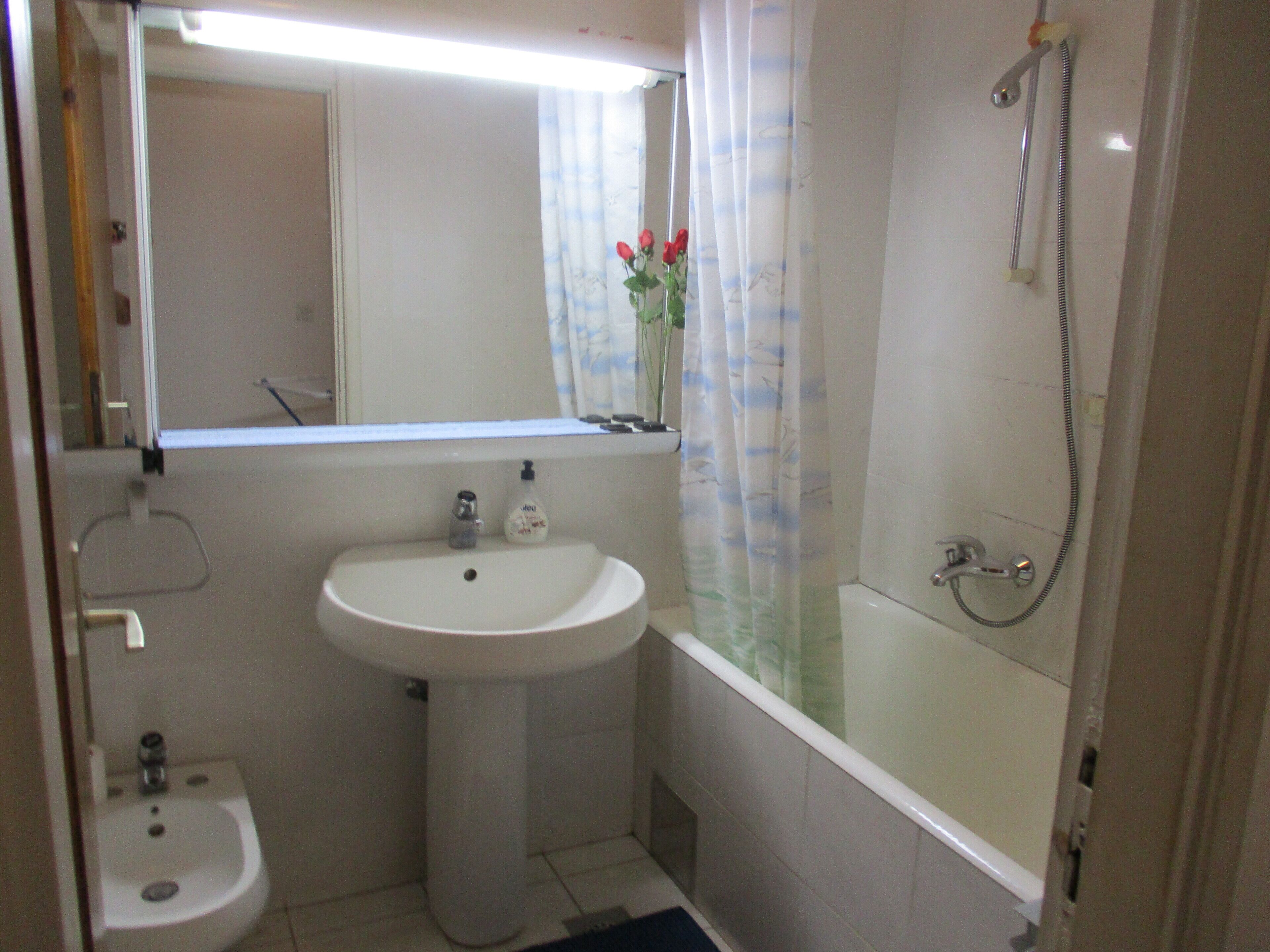 Un baño con lavabo, espejo, ducha e inodoro.