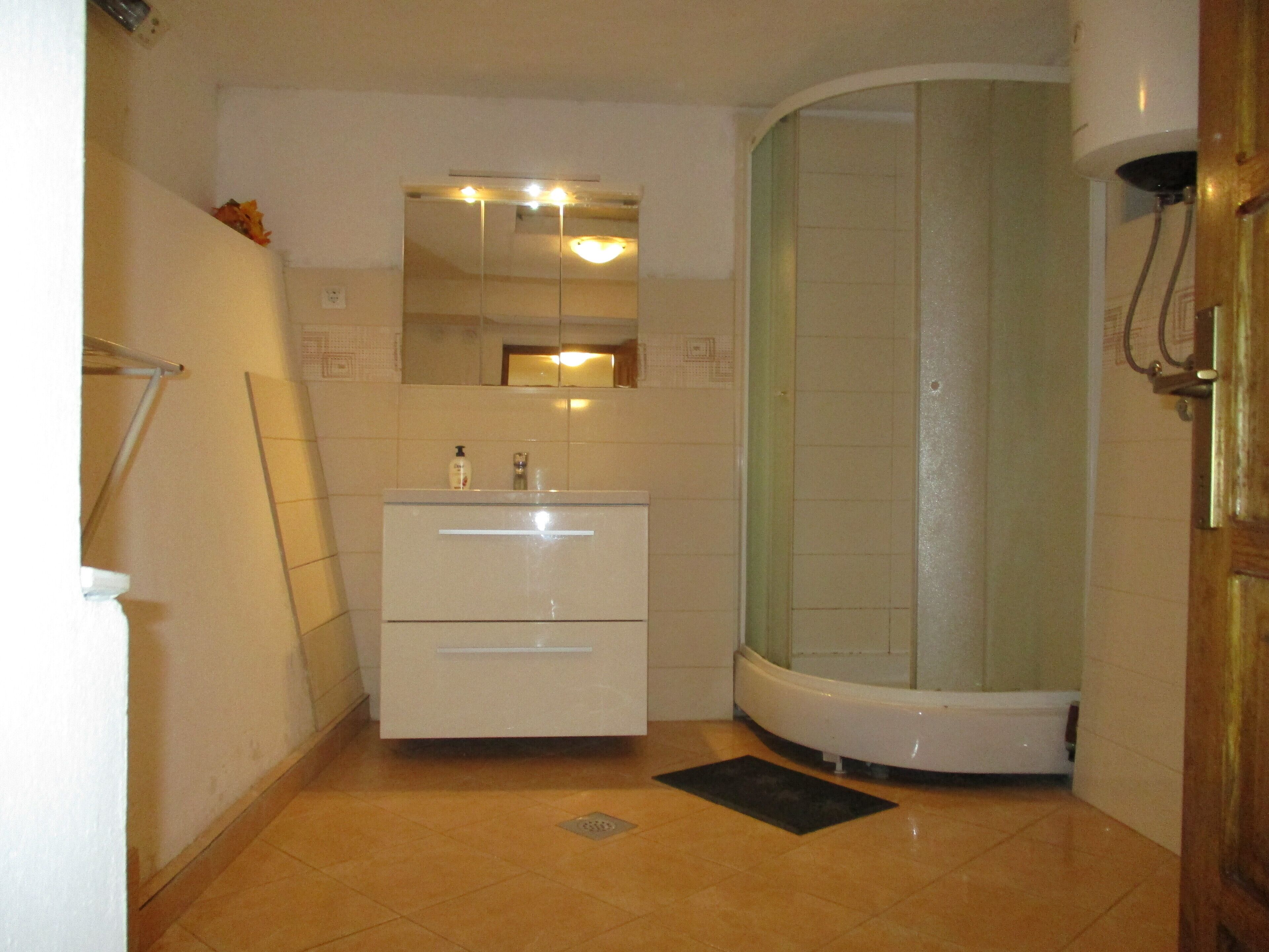 A bathroom with a white vanity, a mirror, a shower enclosure, and a light fixture above the mirror.