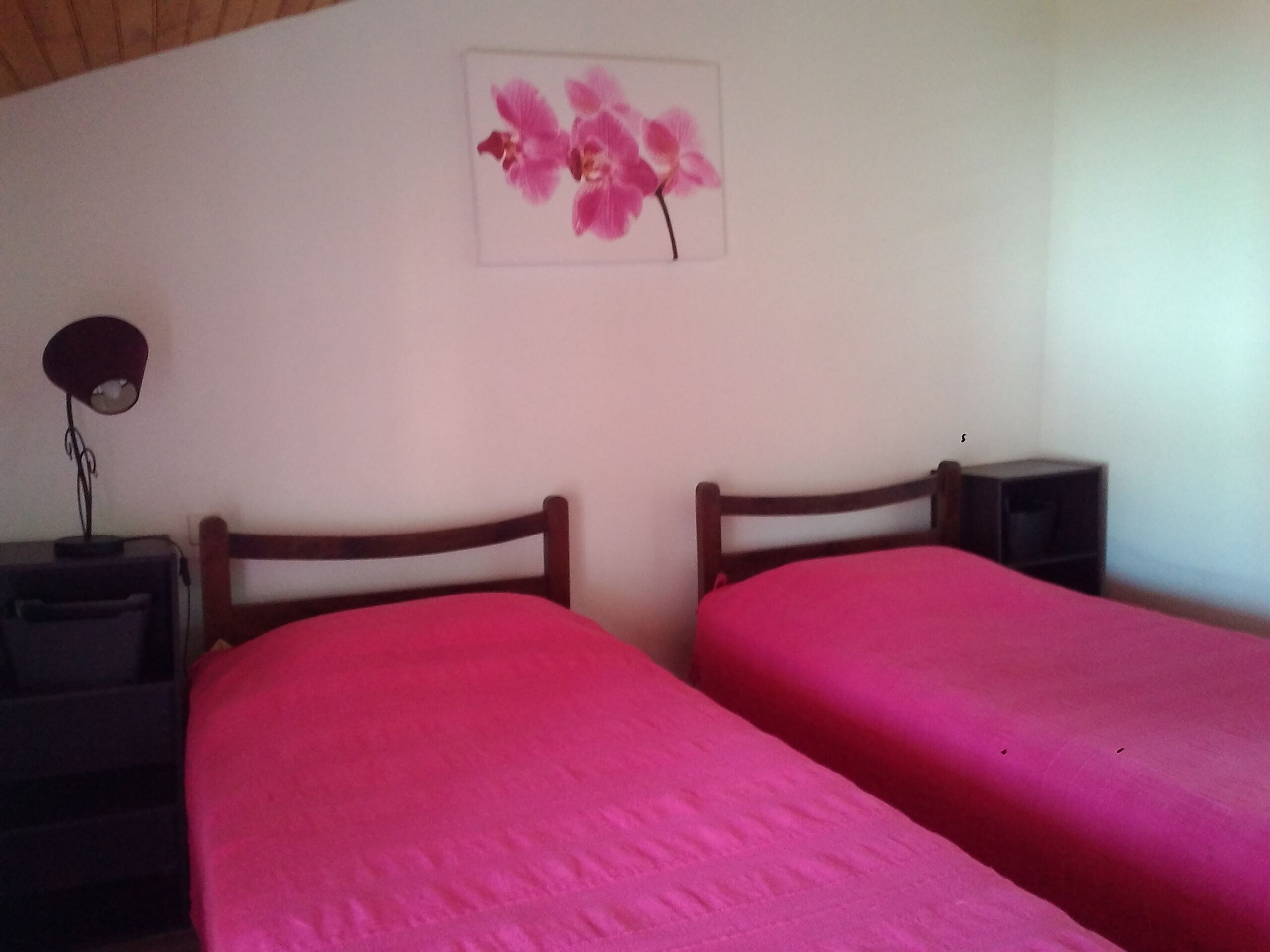A room with two beds, a lamp, and a picture on the wall.
