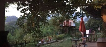 La Coquille Napoléon