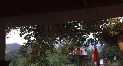 La Coquille Napoléon