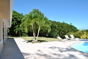 Un área de piscina con cielo azul despejado, palmeras y sillas de descanso.
