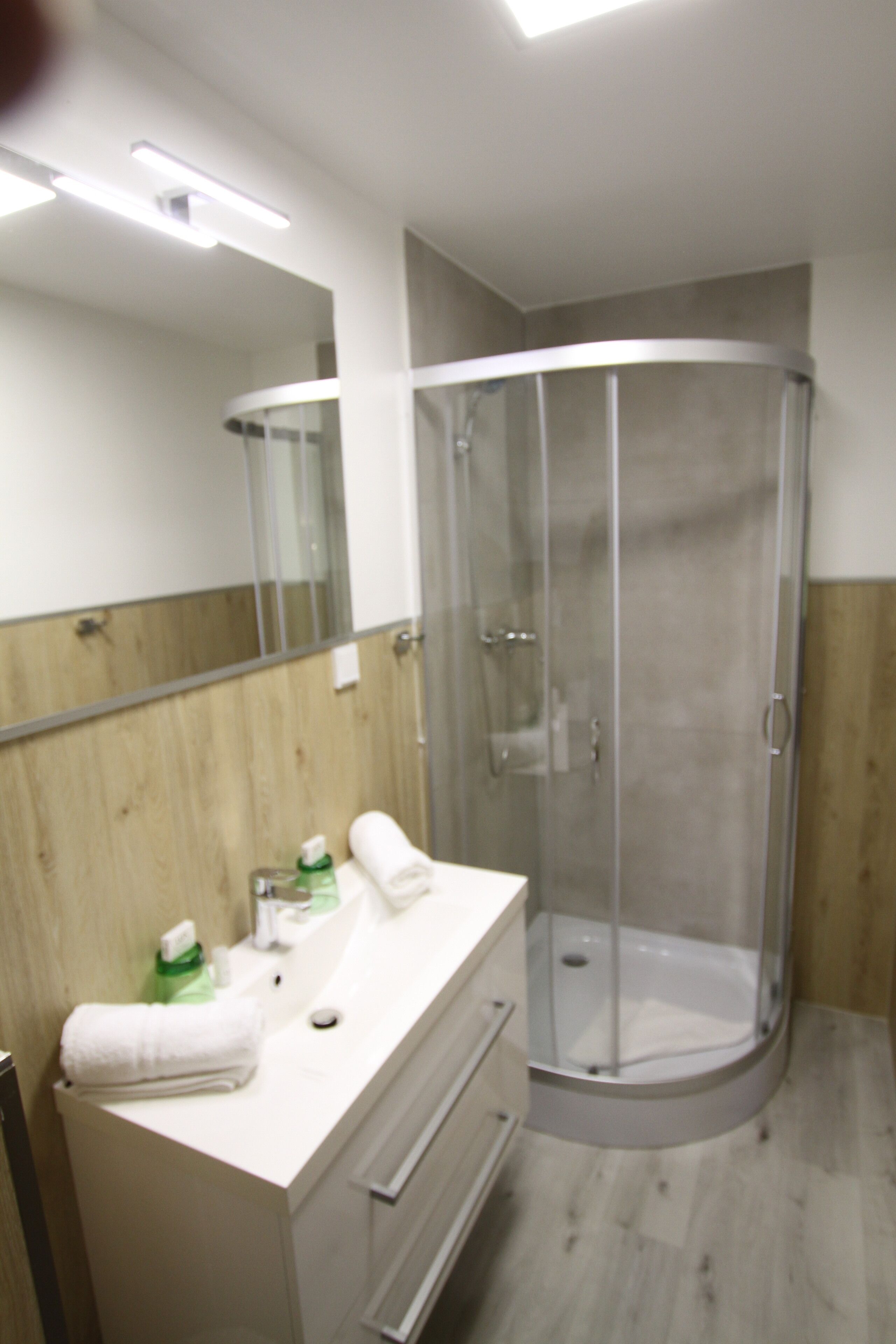 classic double room | bathroom shower
