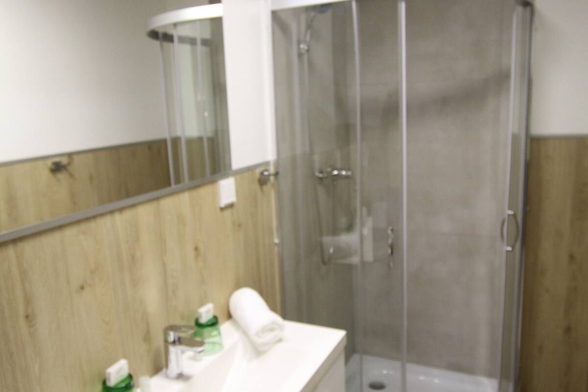 classic double room | bathroom shower