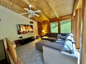 Smart TV, DVD player, books
