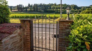 A vineyard with rows of grapevines, a metal gate, and a brick wall. - B&B La Serra (San Miniato)