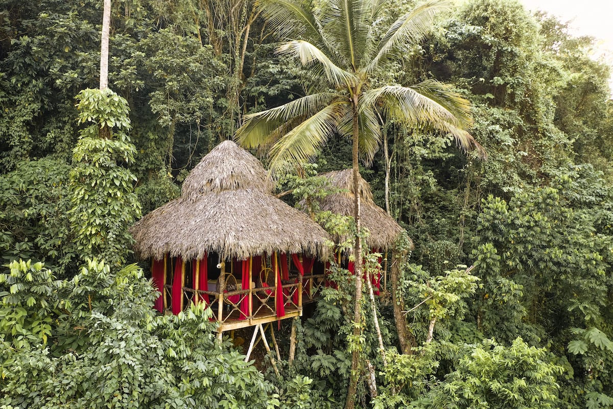 Family Tree House, Garden View | Garden view