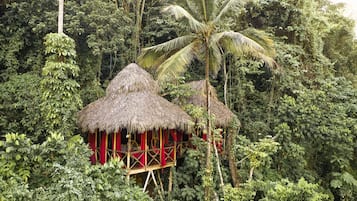 Casa de árbol familiar, vista al jardín | Vista al jardín