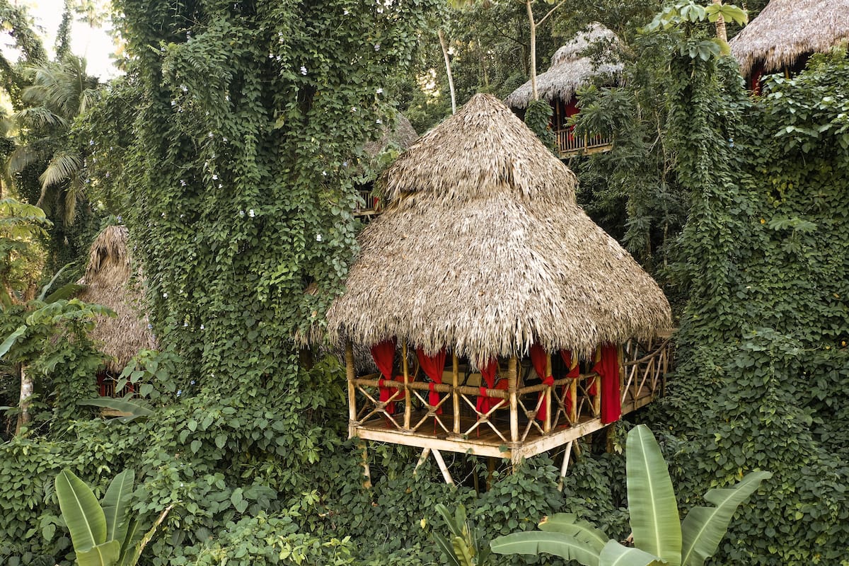 Comfort Tree House, Garden View | Garden view