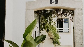 Ein Blumentopf mit Pflanze am Eingang eines Gebäudes, mit einer Steintreppe, die zu einer Tür führt.