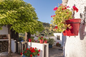 Property grounds - Rural House La Ermita (Zagrilla Alta)