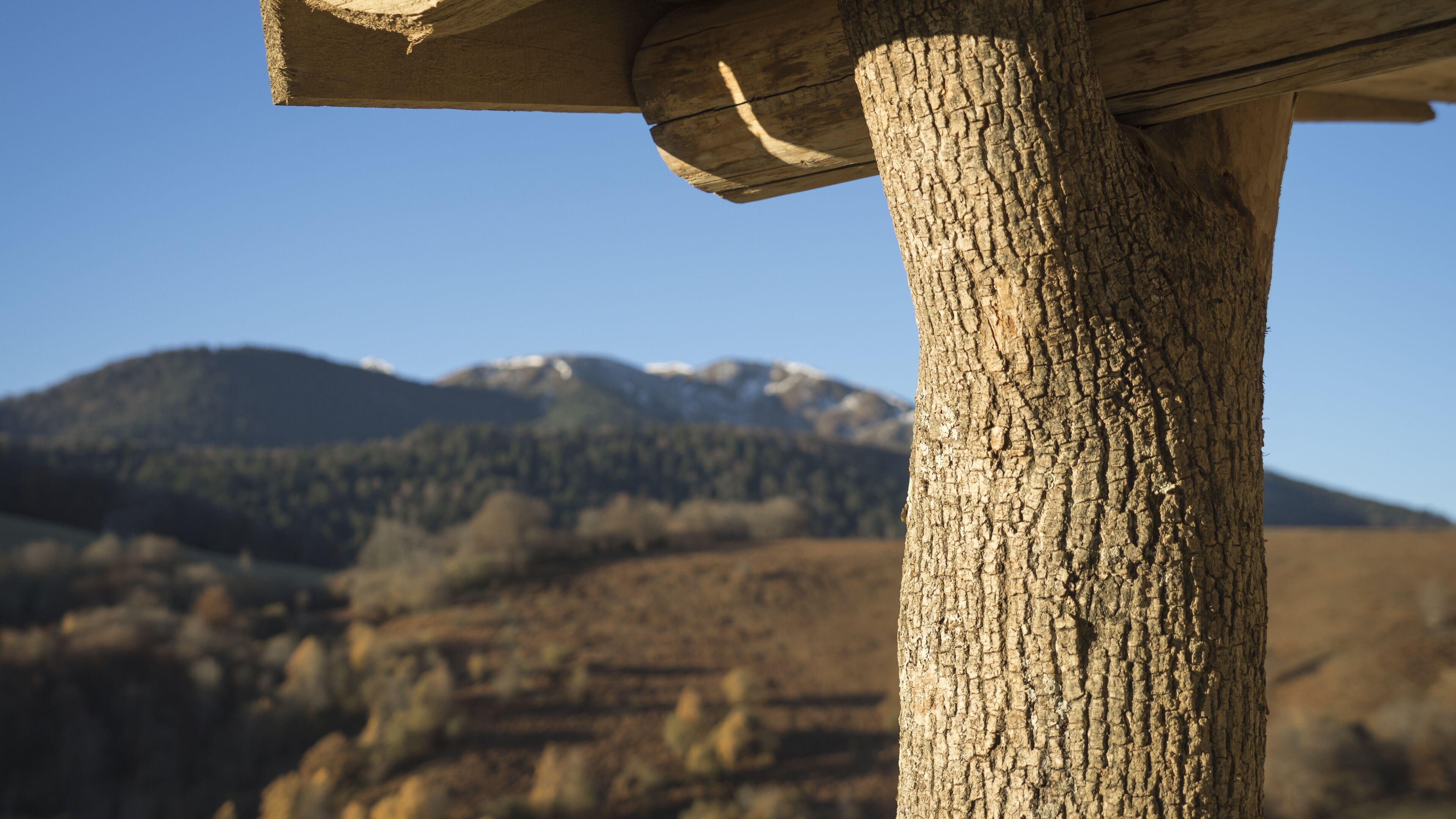 Un poste de madera de textura rugosa, posiblemente parte de una edificación, con un paisaje montañoso al fondo.