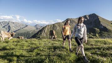 Eine gebirgige Landschaft, zwei Personen wandern, Kühe weiden.