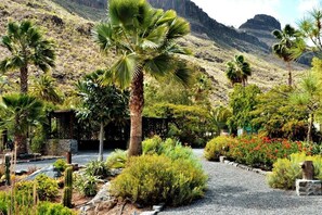 Property grounds - Finca Las Olivas - Unique country house with heated pool (Ayagaures)