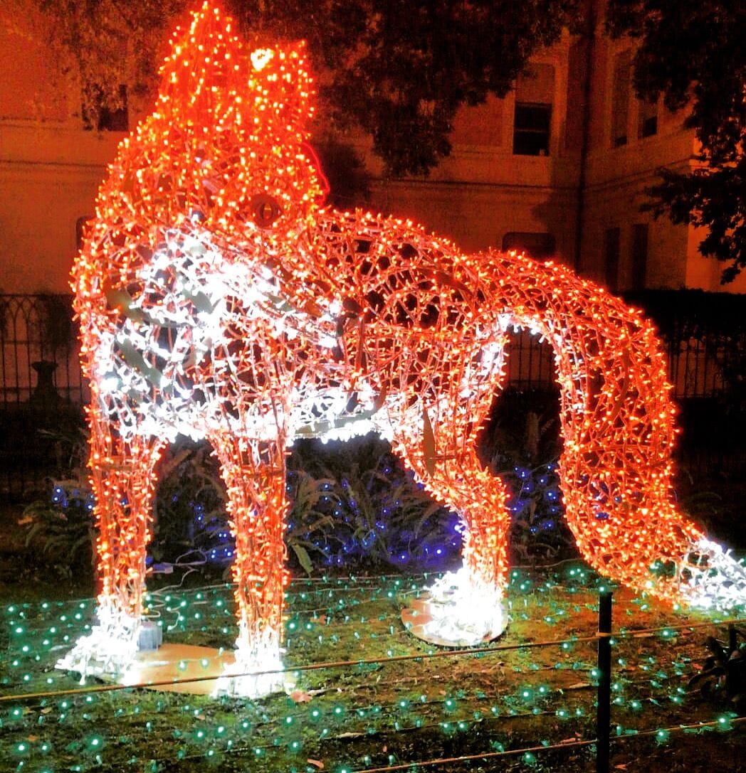 Foto - B&B In Centro Storico Salerno