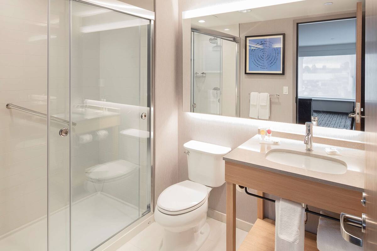 shower, designer toiletries, hair dryer