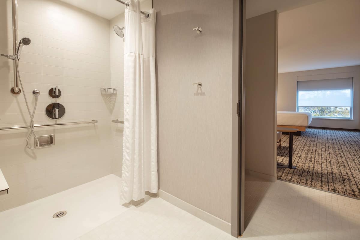 Habitación de diseñador, 1 cama King size y sofá cama (Shower) | Baño | Regadera, amenidades de baño de diseñador, secadora de cabello