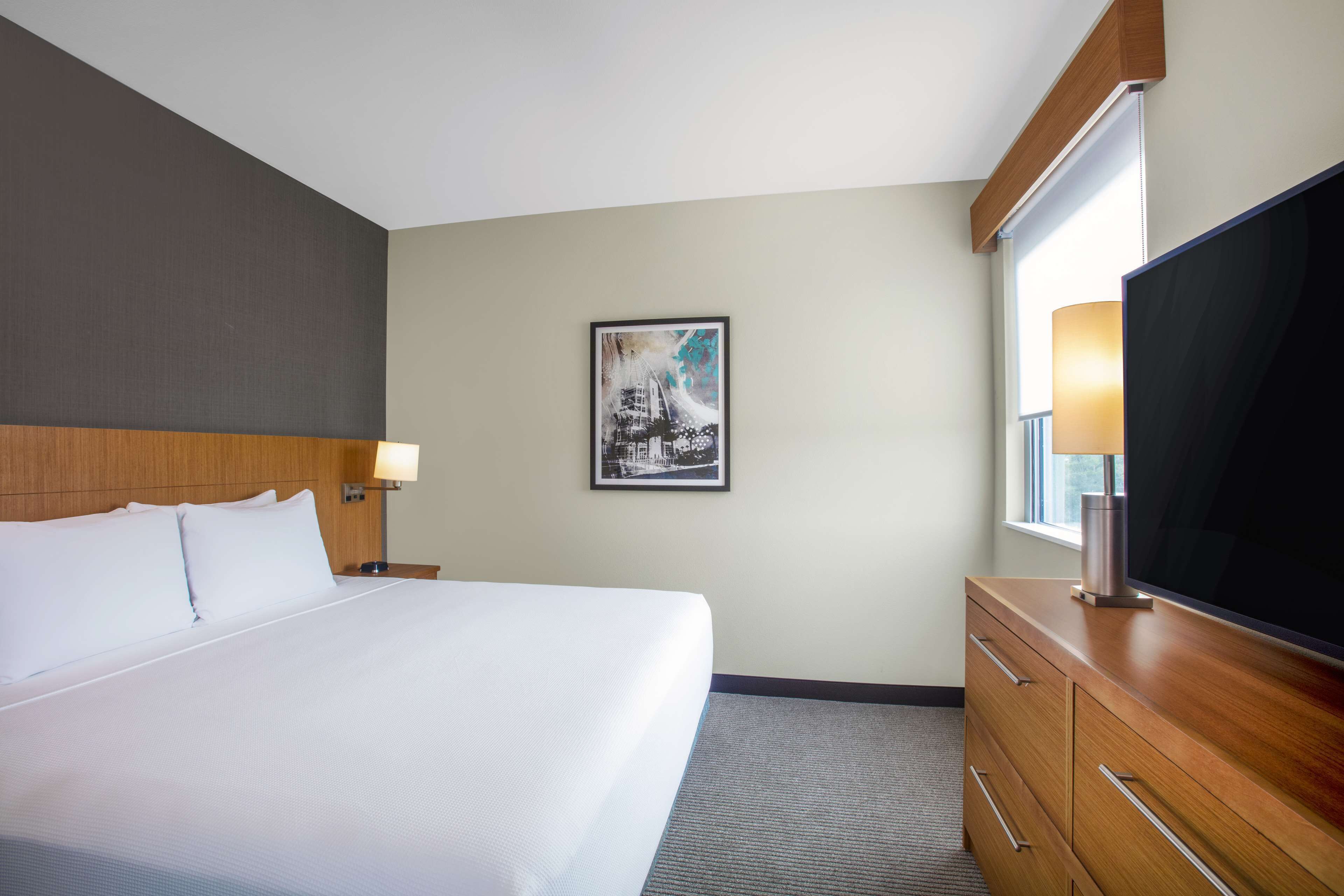 suite, 1 king bed with sofa bed | in-room safe, desk, laptop workspace, blackout curtains