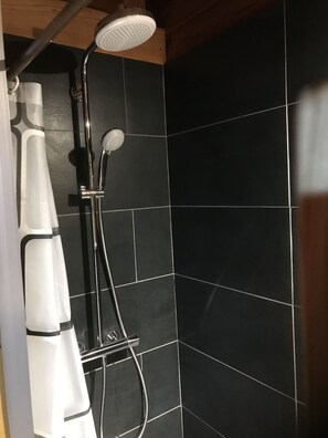 Appartement, non-fumeur (Suite) | Douche de la salle de bain