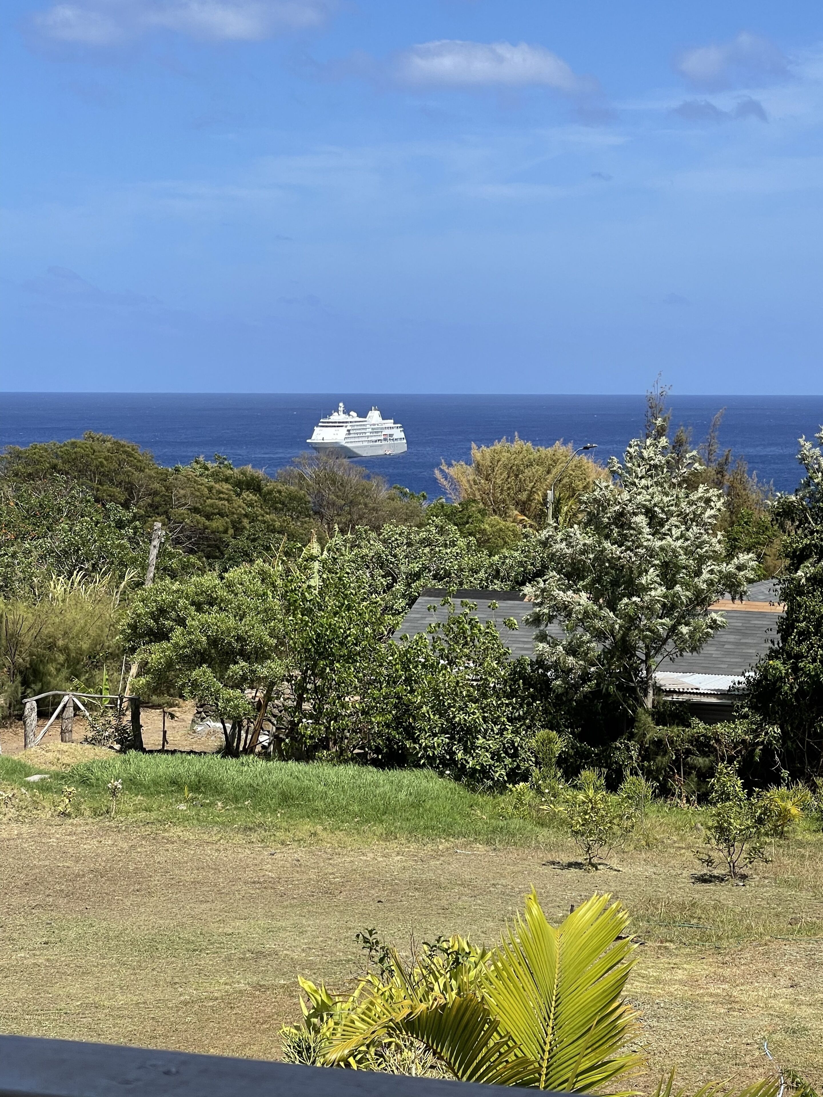 A coastal landscape with a cruise ship in the distance, surrounded by lush greenery and a clear blue sky.