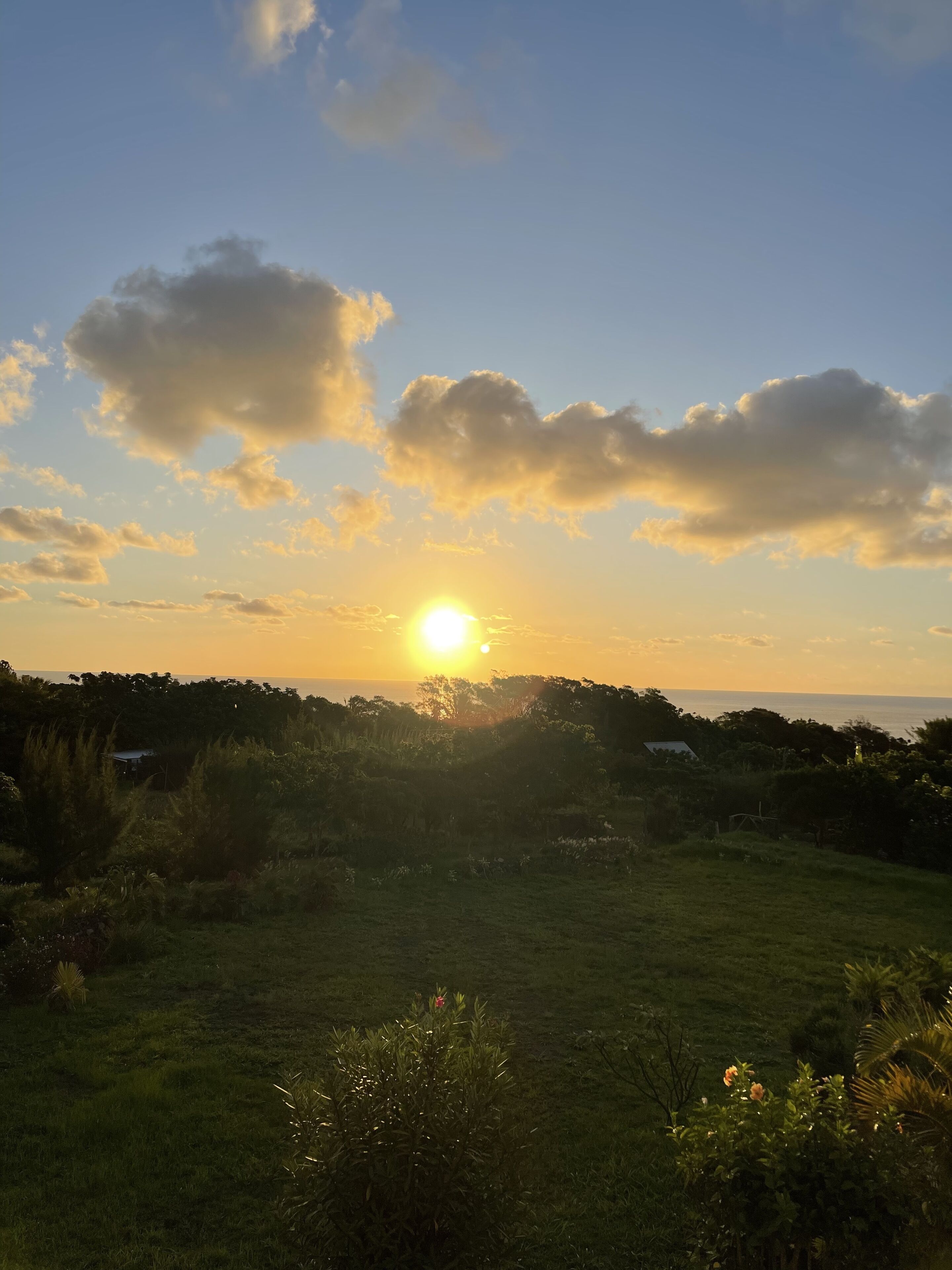 Ein Sonnenuntergang über einem grünen Feld, mit wolkenlosem Himmel und vereinzelten Wolken.