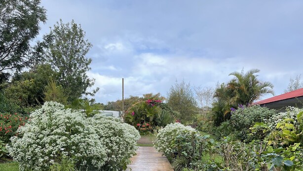 A wooden pathway flanked by lush greenery and flowering plants, leading to a building with a red roof. - Hotel Teanehi (Hanga Roa)