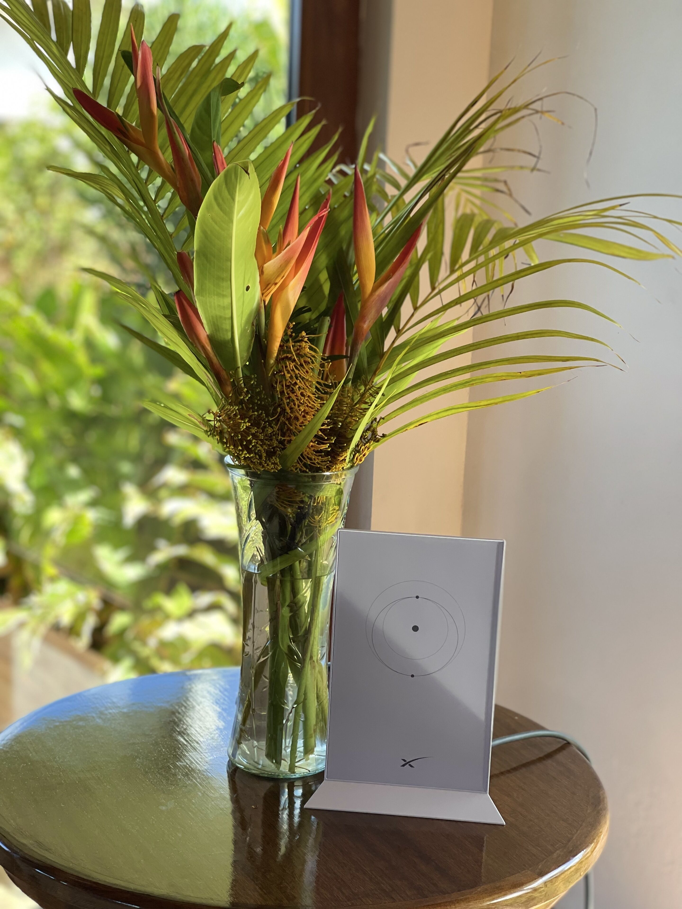 Um vaso de vidro com uma planta sobre uma mesa redonda de madeira.