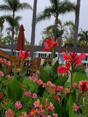 Exterior - Marina Beach Motel (Santa Barbara)