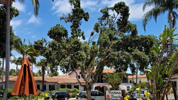 A sunny outdoor seating area with tables and chairs, surrounded by lush tropical plants and flowers. - Marina Beach Hotel (Santa Barbara)