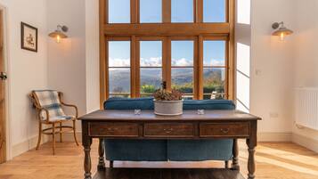 TV, fireplace, DVD player