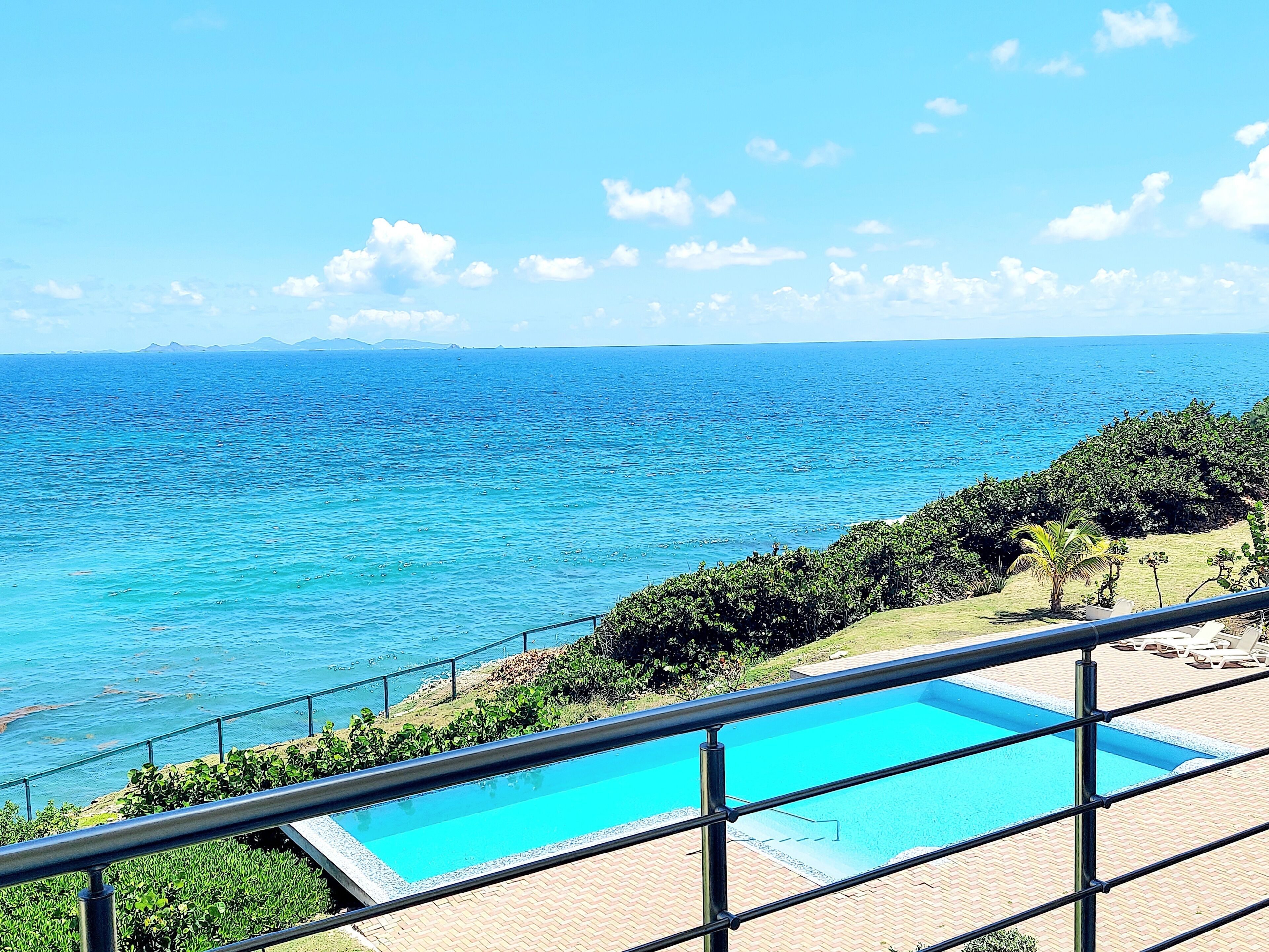 Vista despejada de una piscina con barandilla metálica en primer plano, un área verde con árboles y el océano al fondo.